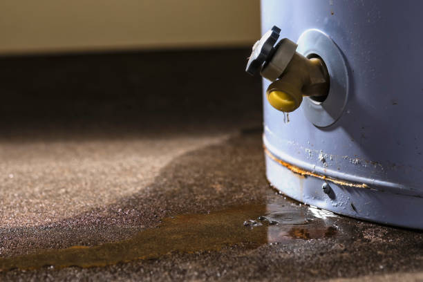 Best Professional water damage repair  in Druid Hills, GA