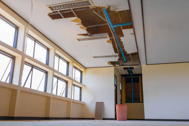 Best Water damage restoration near me  in Druid Hills, GA