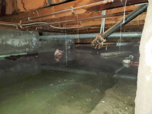 Best Local water damage restoration  in Druid Hills, GA