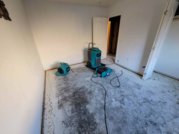 Best Water damage mitigation services  in Druid Hills, GA