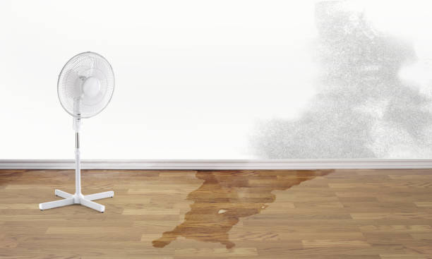 Best 24/7 water damage repair  in Druid Hills, GA