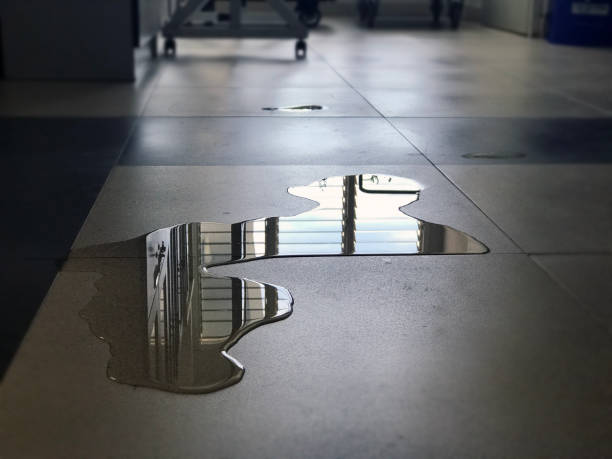Best 24/7 water damage repair  in Druid Hills, GA