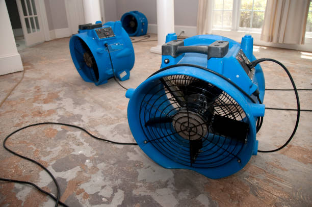 Best Water damage contractors near me  in Druid Hills, GA
