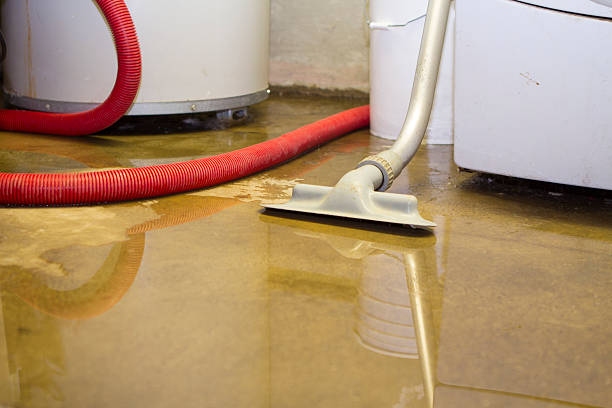 Best Mold removal after water damage  in Druid Hills, GA