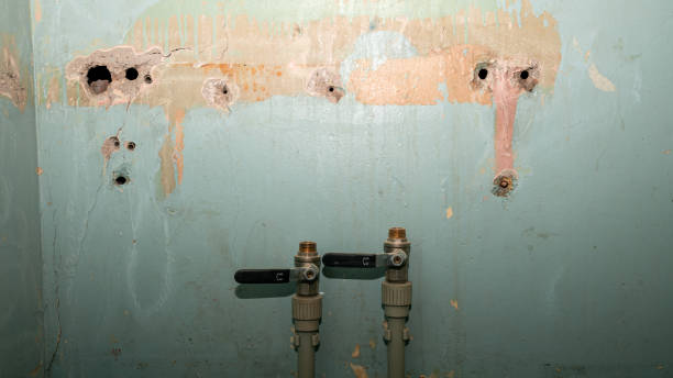 Best Water damage restoration near me  in Druid Hills, GA