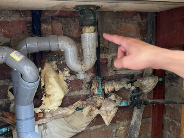 Best Flood damage cleanup  in Druid Hills, GA