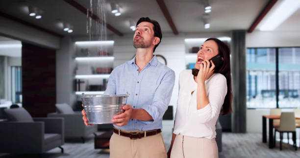 Best Water damage cleanup near me  in Druid Hills, GA